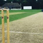 Different Types of Cricket Bets Explained